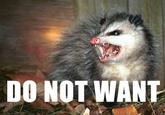 Do Want / Do Not Want