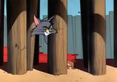 That F***ing Cat