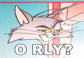 That F***ing Cat