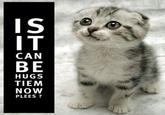LOLcats