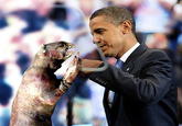 Montauk Monster