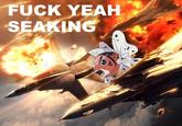 Fuck Yeah Seaking