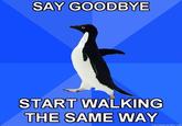 Socially Awkward Penguin