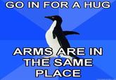 Socially Awkward Penguin