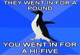 Socially Awkward Penguin