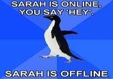 Socially Awkward Penguin