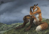 Furries
