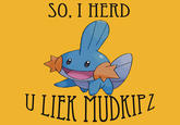 I Herd U Like Mudkips
