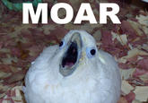 MOAR
