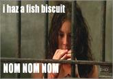 Fish Biscuit