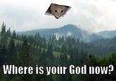 Ceiling Cat