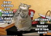 Ceiling Cat