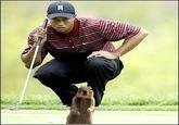 Crasher Squirrel