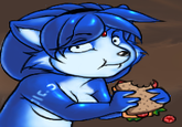 Furries