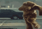Breakdancing Bear