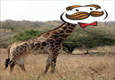 Gordon the Pringles Giraffe