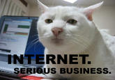 The Internet is Serious Business