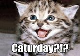 Caturday