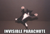 Invisible X