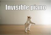 Invisible X