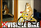 Invisible X