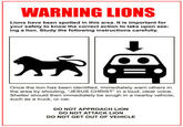 Jesus Christ It's a Lion Get In The Car!