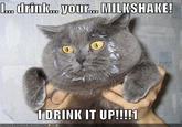 I Drink Your Milkshake!