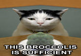 Broccoli Dog