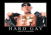 Hard Gay