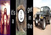 Jesus Christ It's a Lion Get In The Car!