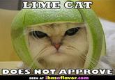 Limecat