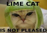 Limecat