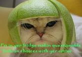 Limecat