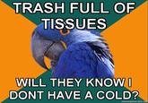 Paranoid Parrot