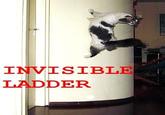Invisible X