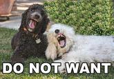 Do Want / Do Not Want