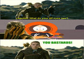 What do your elf eyes see?