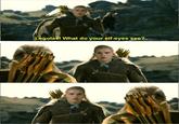 What do your elf eyes see?