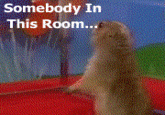 Dramatic Chipmunk / Drama Prairie Dog