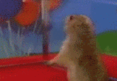 Dramatic Chipmunk / Drama Prairie Dog