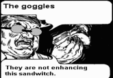 The Goggles Do Nothing!