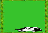 Sneezing Baby Panda