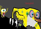 Spengbab