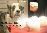 Cupcake Dog