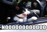 Darth Vader's Noooooooooooo!
