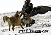 Falcon Punch