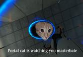 Ceiling Cat