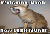 Lurk Moar
