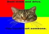 Senseable Cat
