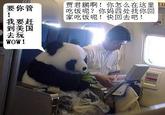 Jia Jun Peng, your mother wants you to come home for dinner!